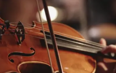 Violin